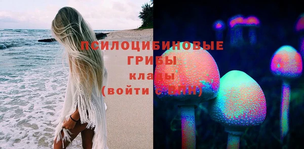 МДПВ Аркадак