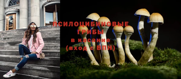 a pvp Арсеньев